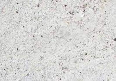 Kashmir White Granite